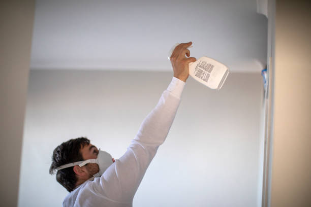 Best Professional Mold Removal  in Edwardsville, PA