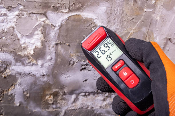 Best Crawl Space Mold Removal  in Edwardsville, PA