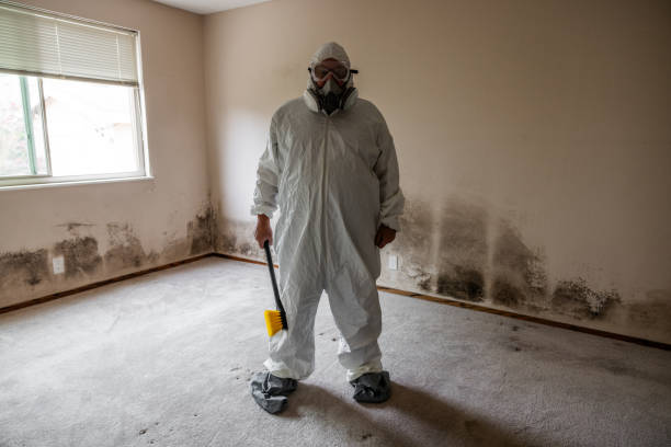 Best Mold Removal Company Near Me  in Edwardsville, PA